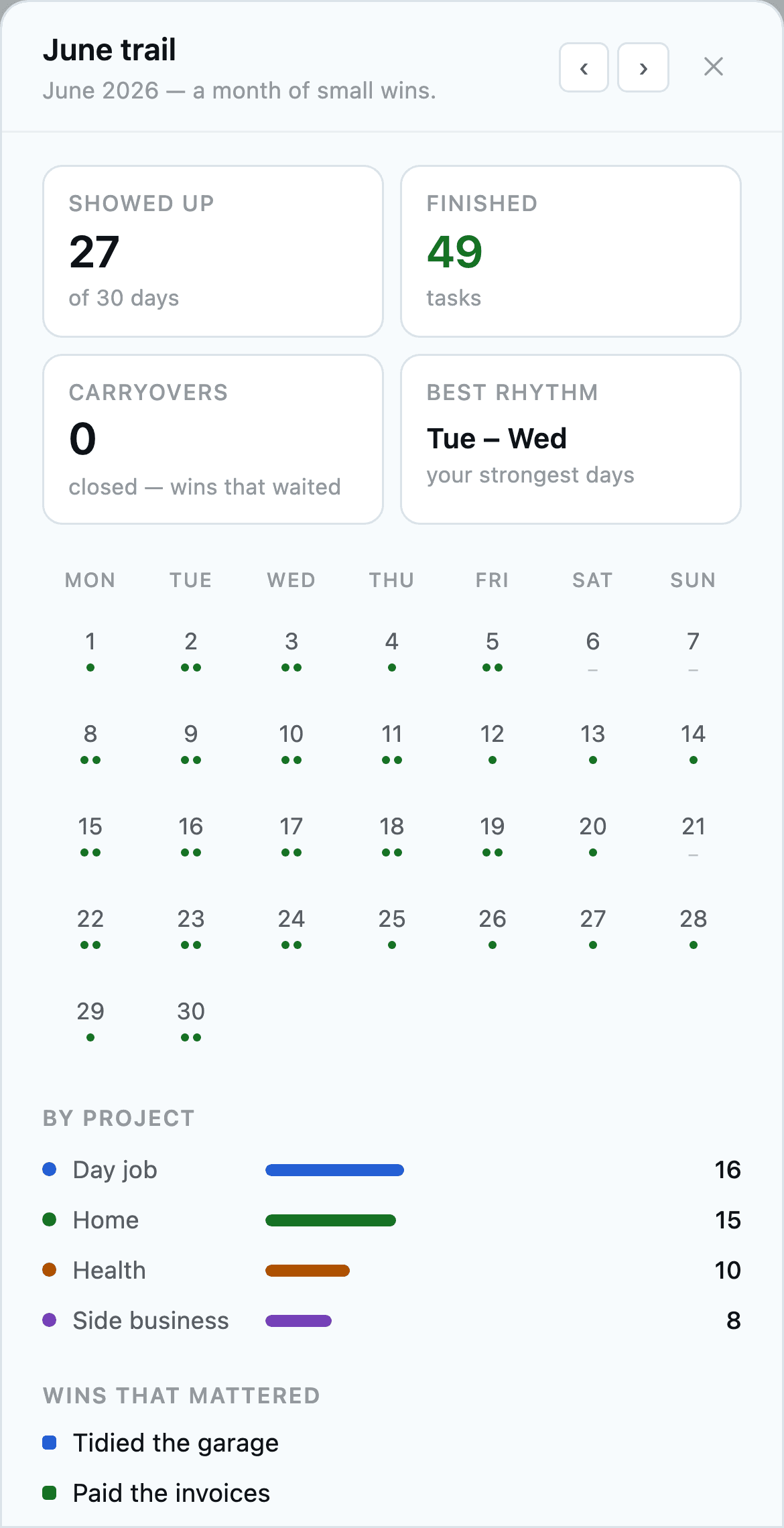 Daylot monthly trail: a calendar of days you showed up, with a by-project breakdown